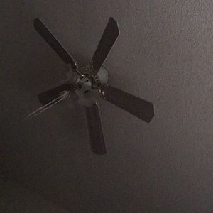 Meet your Posher, Ana